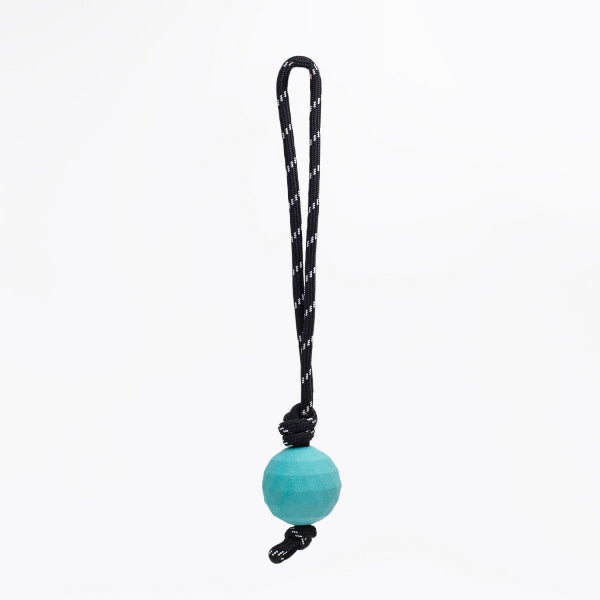 Sterk hondenspeelgoed - Zippy Paws - Zippy tuff – Waggle Ball RopeTugz - Trekspeelgoed voor honden