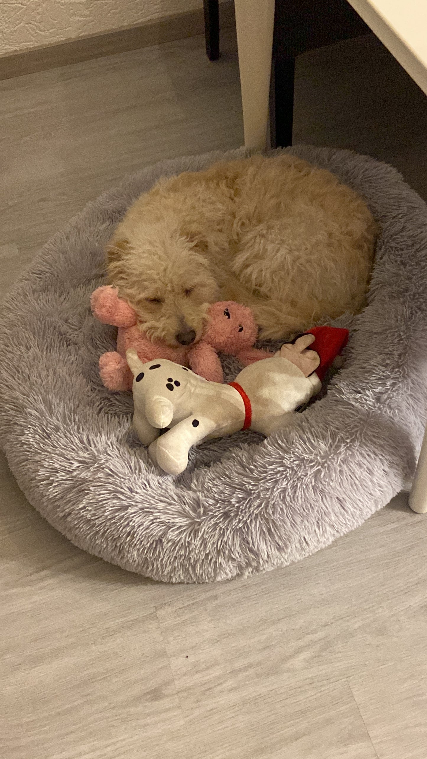 Bobbie met zijn hartslag knuffel