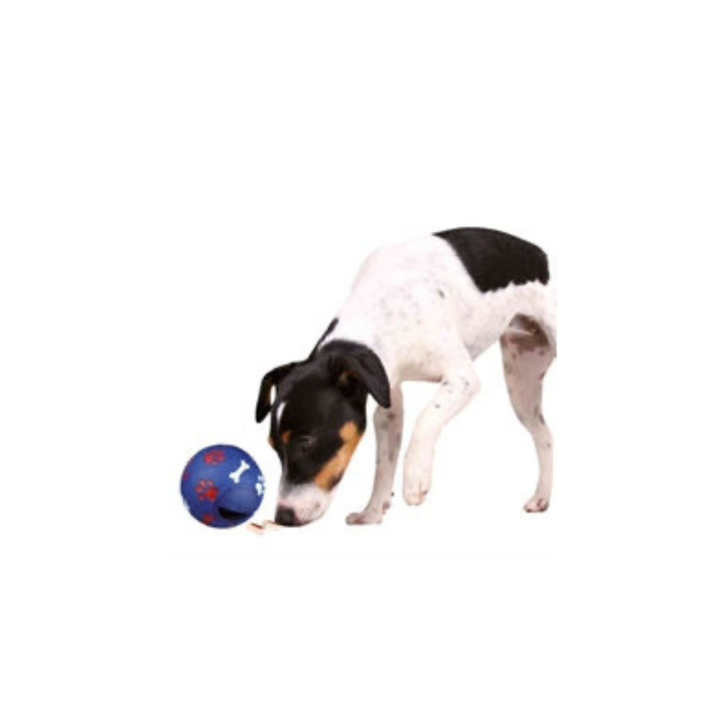 Hersenwerk voor honden - Trixie - Snackbal - Blauw en rood