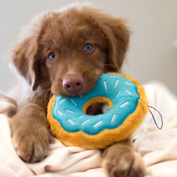 Hondenspeelgoed Donut - Zippy Paws - Blauw